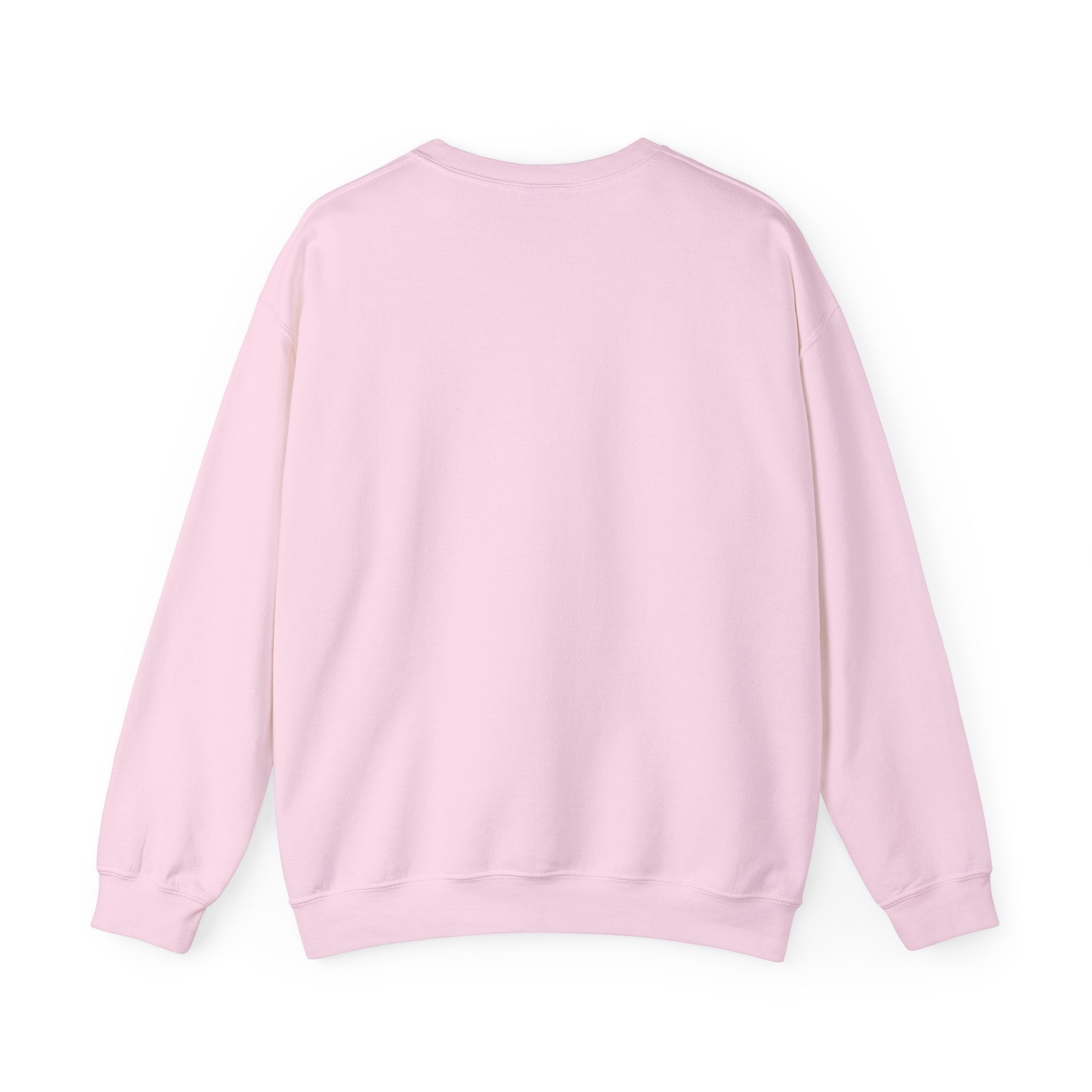 The French Cassos Sweatshirt — Minimalist Pride Crewneck